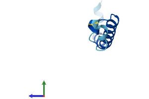 Protein Structure (PS) image for Ubiquinol-Cytochrome C Reductase, Complex III Subunit XI (UQCR11) (AA 1-56) protein (Fc Tag) (ABIN7560488)