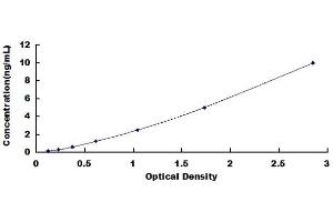 Typical standard curve (ATG12 ELISA 试剂盒)
