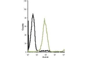Cell surface detection of Cholecystokinin B receptor in live intact Jurkat (human T cell leukemia) cell lines: (black line) Unstained cells + goat-anti-rabbit-Phycoerythrin (PE). (CCKBR 抗体  (Extracellular, N-Term))