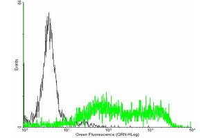 FACS analysis of negative control 293 cells (Black) and ULBP2 expressing 293 cells (Green) using ULBP2 purified MaxPab mouse polyclonal antibody. (ULBP2 抗体  (AA 1-246))