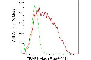 Flow cytometric analysis of TRAF1 expression in Raji cells using TRAF1 antibody (ABIN7800562), 1:2,000). (TRAF1 抗体)