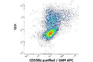 Flow Cytometry (FACS) image for anti-Killer Cell Immunoglobulin-Like Receptor, three Domains, Long Cytoplasmic Tail, 3 (KIR3DL3) antibody (ABIN7505863)