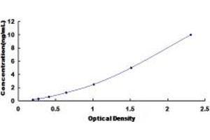 Typical standard curve (Cdc25 ELISA 试剂盒)