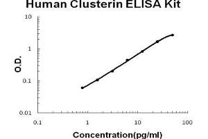 Human Clusterin PicoKine ELISA Kit standard curve (Clusterin ELISA 试剂盒)
