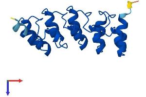 CDKN2D Protein (AA 1-166) (His tag)