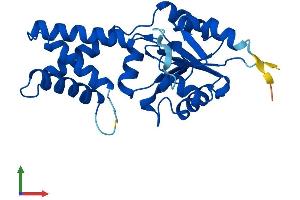 AlphaFold protein structure predicition of Human Recombinant NANP Protein, UniprotID Q8TBE9