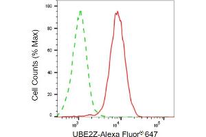 Flow cytometric analysis of UBE2Z expression in HepG2 cells using UBE2Z antibody (ABIN7800755), 1:2,000). (UBE2Z 抗体)