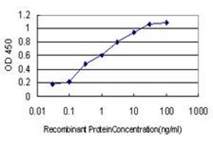 Detection limit for recombinant GST tagged DAG1 is approximately 0. (Dystroglycan 抗体  (AA 31-140))