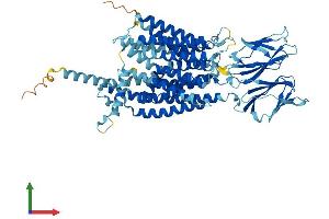 Protein Structure (PS) image for Solute Carrier Family 15 (Oligopeptide Transporter), Member 1 (SLC15A1) (AA 1-708) protein (His tag) (ABIN7555310)