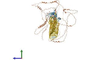Protein Structure (PS) image for Trophinin (TRO) (AA 1-1431) protein (His tag) (ABIN7555837)