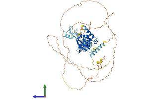 Protein Structure (PS) image for CCR4-NOT Transcription Complex Subunit 4 (CNOT4) (AA 1-575) protein (His tag) (ABIN7546507)