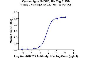 ELISA image for Killer Cell Lectin-Like Receptor Subfamily K, Member 1 (KLRK1) (AA 73-216) protein (His tag) (ABIN7275334)