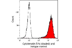 Flow Cytometry (FACS) image for anti-Keratin 5/6 (KRT5/6) (C-Term) antibody (ABIN7795768)