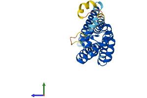 Protein Structure (PS) image for Tetraspanin 1 (TSPAN1) (AA 1-241) protein (His tag) (ABIN7544781)