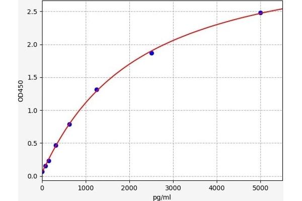 Monoamine Oxidase B ELISA 试剂盒