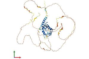 AlphaFold protein structure predicition of Human Recombinant AGFG2 Protein, UniprotID O95081