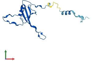 Protein Structure (PS) image for Mitochondrial Ribosomal Protein L23 (MRPL23) (AA 1-153) protein (His tag) (ABIN7551514)