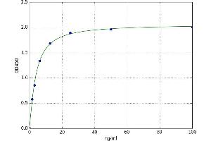 A typical standard curve (Collagen IV ELISA 试剂盒)