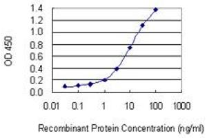 Detection limit for recombinant GST tagged RYBP is 0. (RYBP 抗体  (AA 1-228))