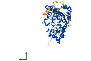 Protein Structure (PS) image for Glucosaminyl (N-Acetyl) Transferase 4, Core 2 (Beta-1,6-N-Acetylglucosaminyltransferase) (GCNT4) (AA 1-453) protein (His tag) (ABIN7547889)