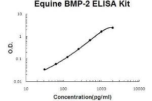 Horse equine BMP-2 PicoKine ELISA Kit standard curve