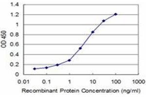 Detection limit for recombinant GST tagged ZNF263 is approximately 0. (ZNF263 抗体  (AA 201-298))