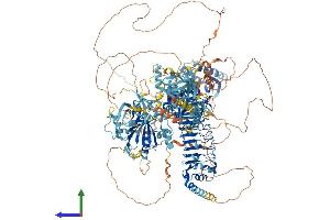 Protein Structure (PS) image for Nischarin (NISCH) (AA 1-1593) protein (His tag) (ABIN7564238)