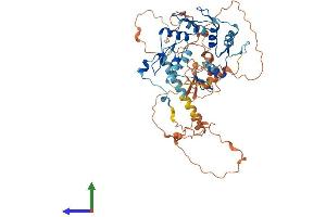 Protein Structure (PS) image for Zinc Finger Protein 554 (ZNF554) (AA 1-538) protein (His tag) (ABIN7545812)
