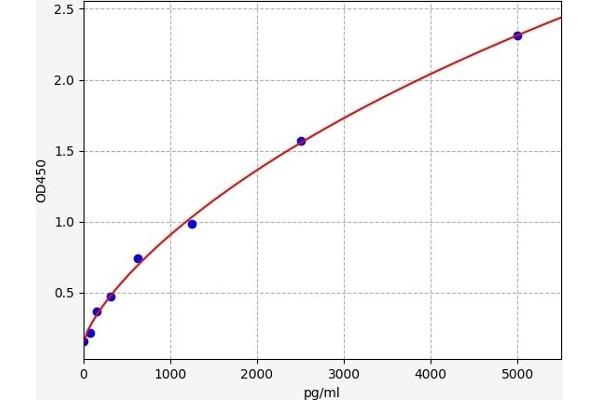 Annexin IV ELISA 试剂盒
