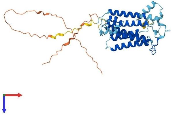 Sphingomyelin Synthase 2 Protein (SGMS2) (AA 1-365) (His tag)