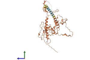 AlphaFold protein structure predicition of Human Recombinant FAM157A Protein, UniprotID C9JC47 (FAM157A Protein (AA 1-383) (His tag))