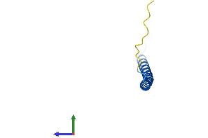 AlphaFold protein structure predicition of Mouse Recombinant Hsbp1 Protein, UniprotID Q9CQZ1