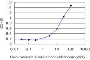 Detection limit for recombinant GST tagged FVT1 is approximately 1ng/ml as a capture antibody. (FVT1 抗体  (AA 12-332))