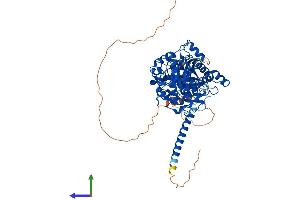 Protein Structure (PS) image for Myotubularin Related Protein 1 (MTMR1) (AA 1-669) protein (His tag) (ABIN7565295)