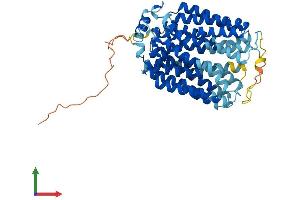 Protein Structure (PS) image for Solute Carrier Family 17 (Acidic Sugar Transporter), Member 5 (SLC17A5) (AA 1-495) protein (His tag) (ABIN7555398)