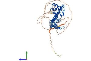 AlphaFold protein structure predicition of Human Recombinant TFDP3 Protein, UniprotID Q5H9I0