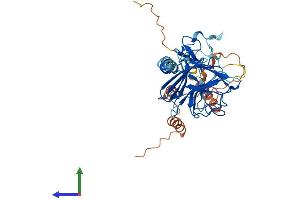 AlphaFold protein structure predicition of Human Recombinant RFPL2 Protein, UniprotID O75678