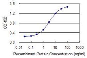 Detection limit for recombinant GST tagged CHFR is 0. (CHFR 抗体  (AA 136-194))