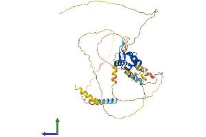 Protein Structure (PS) image for Forkhead Box N2 (FOXN2) (AA 1-431) protein (His tag) (ABIN7547685)