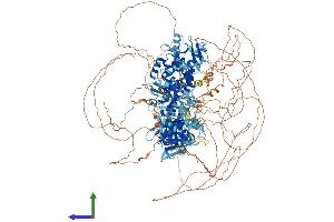 Protein Structure (PS) image for Rap Guanine Nucleotide Exchange Factor (GEF) 2 (RAPGEF2) (AA 1-1496) protein (His tag) (ABIN7564584)
