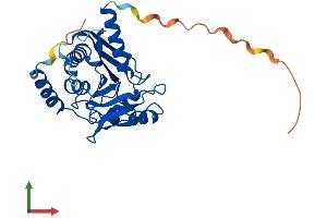 Protein Structure (PS) image for Endonuclease V (ENDOV) (AA 1-282) protein (His tag) (ABIN7547361)