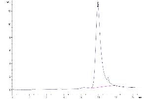 The purity of Cynomolgus TSLP is greater than 95 % as determined by SEC-HPLC. (Thymic Stromal Lymphopoietin Protein (TSLP) (AA 29-159) (His tag))