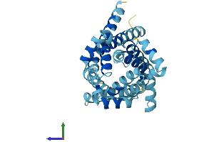Protein Structure (PS) image for Solute Carrier Family 25 (Mitochondrial Carrier, Ornithine Transporter) Member 15 (SLC25A15) (AA 1-301) protein (His tag) (ABIN7556318)