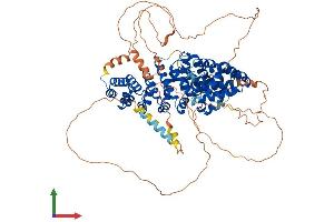 Protein Structure (PS) image for Plakophilin 3 (PKP3) (AA 1-797) protein (His tag) (ABIN7550825)