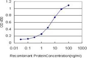Detection limit for recombinant GST tagged HEPH is approximately 0. (Hephaestin 抗体  (AA 315-424))