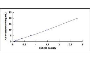 Typical standard curve (TIMP4 ELISA 试剂盒)