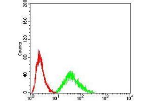Flow Cytometry (FACS) image for anti-DEAD (Asp-Glu-Ala-Asp) Box Polypeptide 3, X-Linked (DDX3X) (AA 518-661) antibody (ABIN5542509)