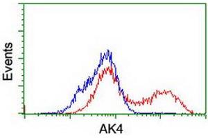 HEK293T cells transfected with either RC220572 overexpress plasmid (Red) or empty vector control plasmid (Blue) were immunostained by anti-AK4 antibody (ABIN2454868), and then analyzed by flow cytometry. (AK4 抗体)
