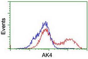 HEK293T cells transfected with either RC220572 overexpress plasmid (Red) or empty vector control plasmid (Blue) were immunostained by anti-AK4 antibody (ABIN2454868), and then analyzed by flow cytometry. (AK4 抗体)