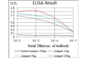 Red: Control Antigen (100ng) ; Purple: Antigen (10ng) ; Green: Antigen (50ng) ; Blue: Antigen (100ng). (BPIFA2 抗体)
